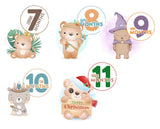 Cake Toppers - Baby Months "Baby BEAR"